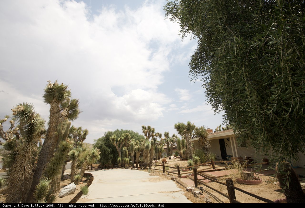 A Walkway to Paradise