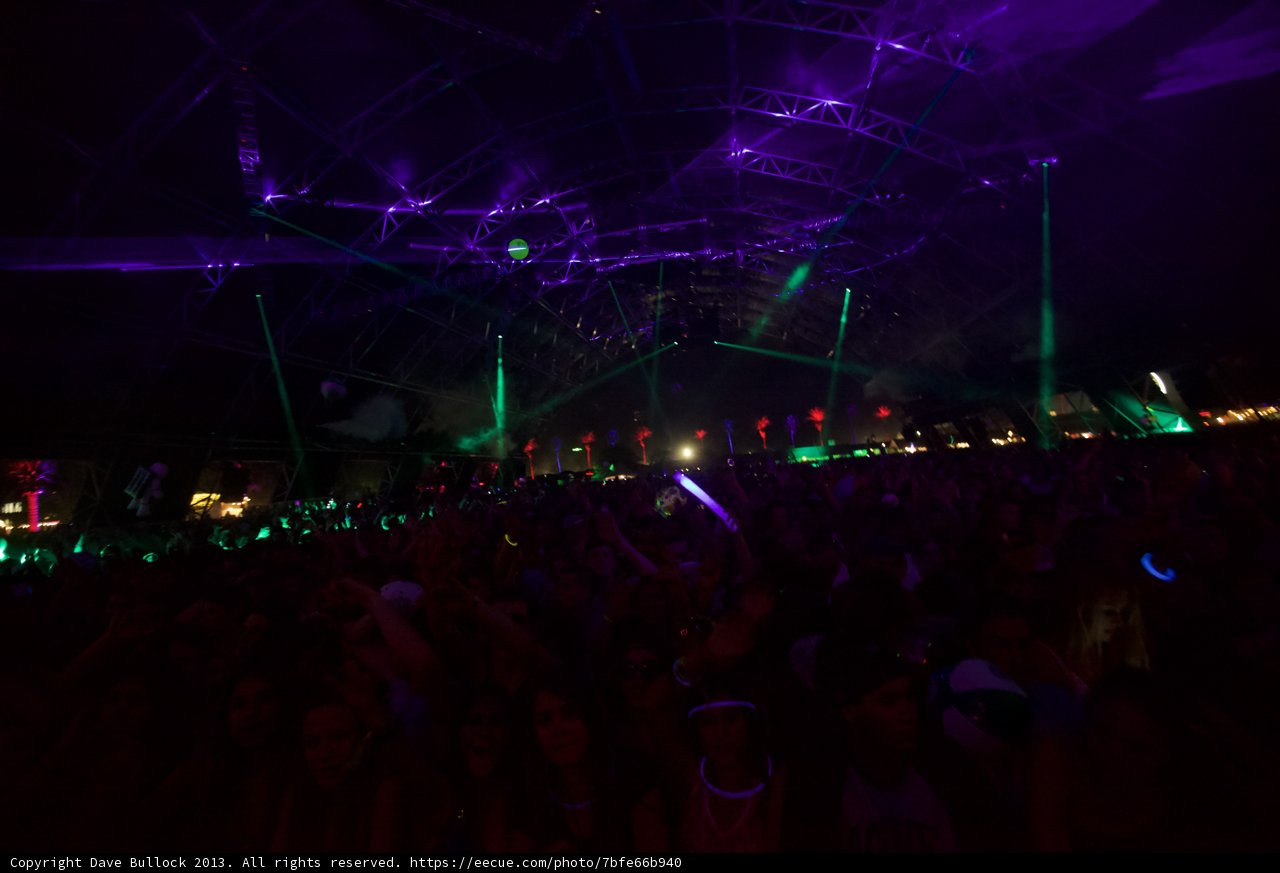 Purple Haze at Coachella