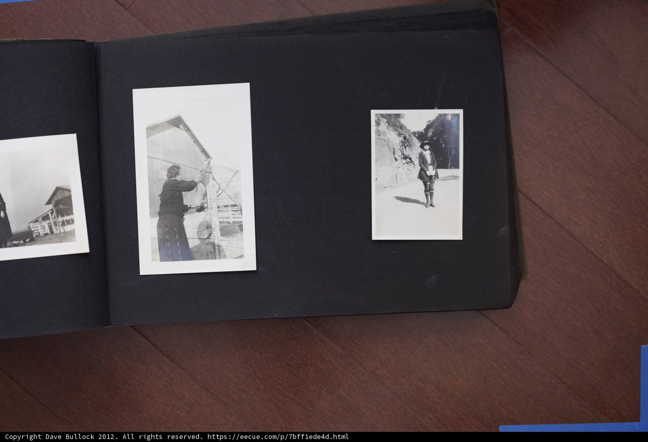 The Bullock Curtis Family Photo Album