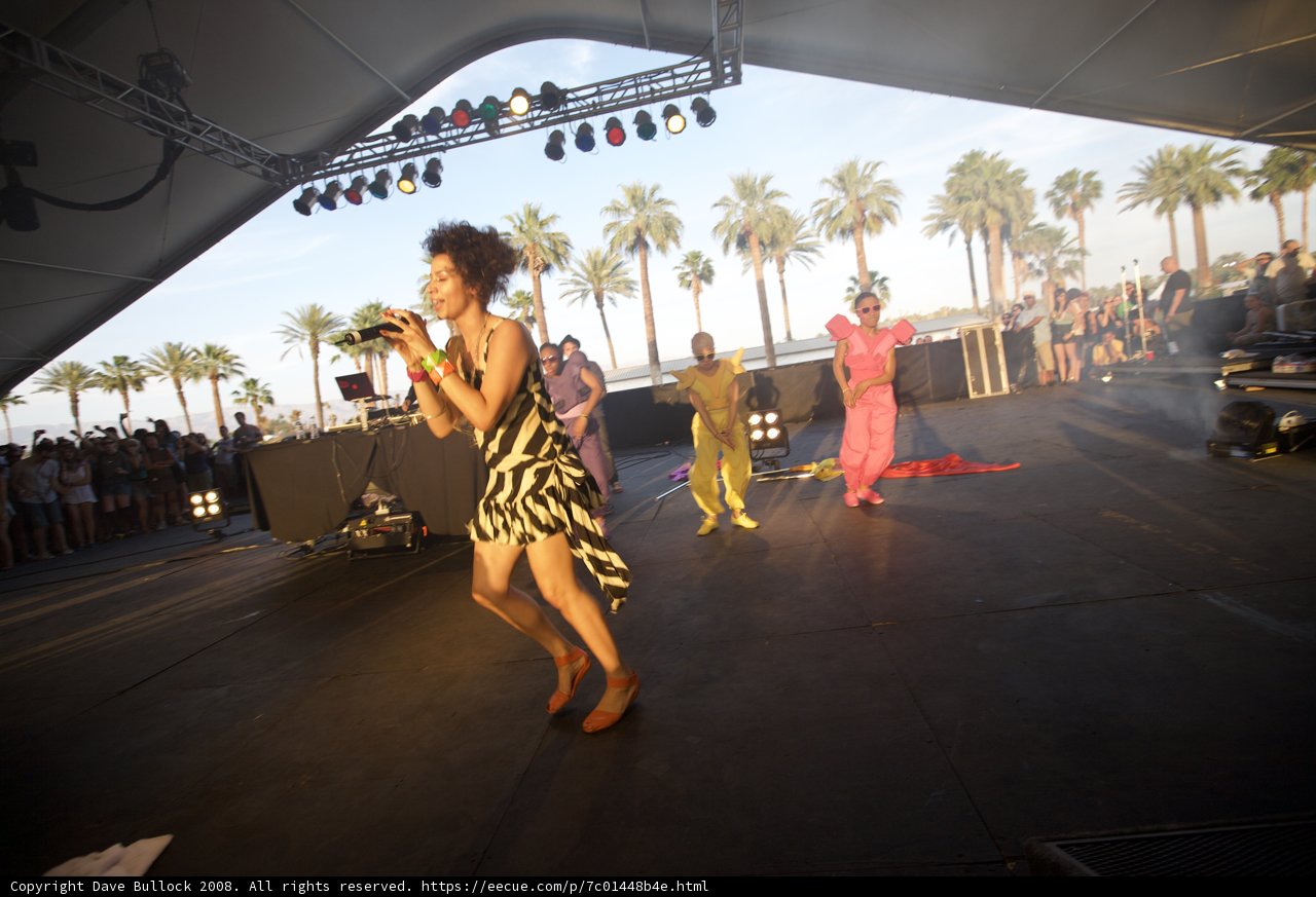 On Stage in Zebra Print