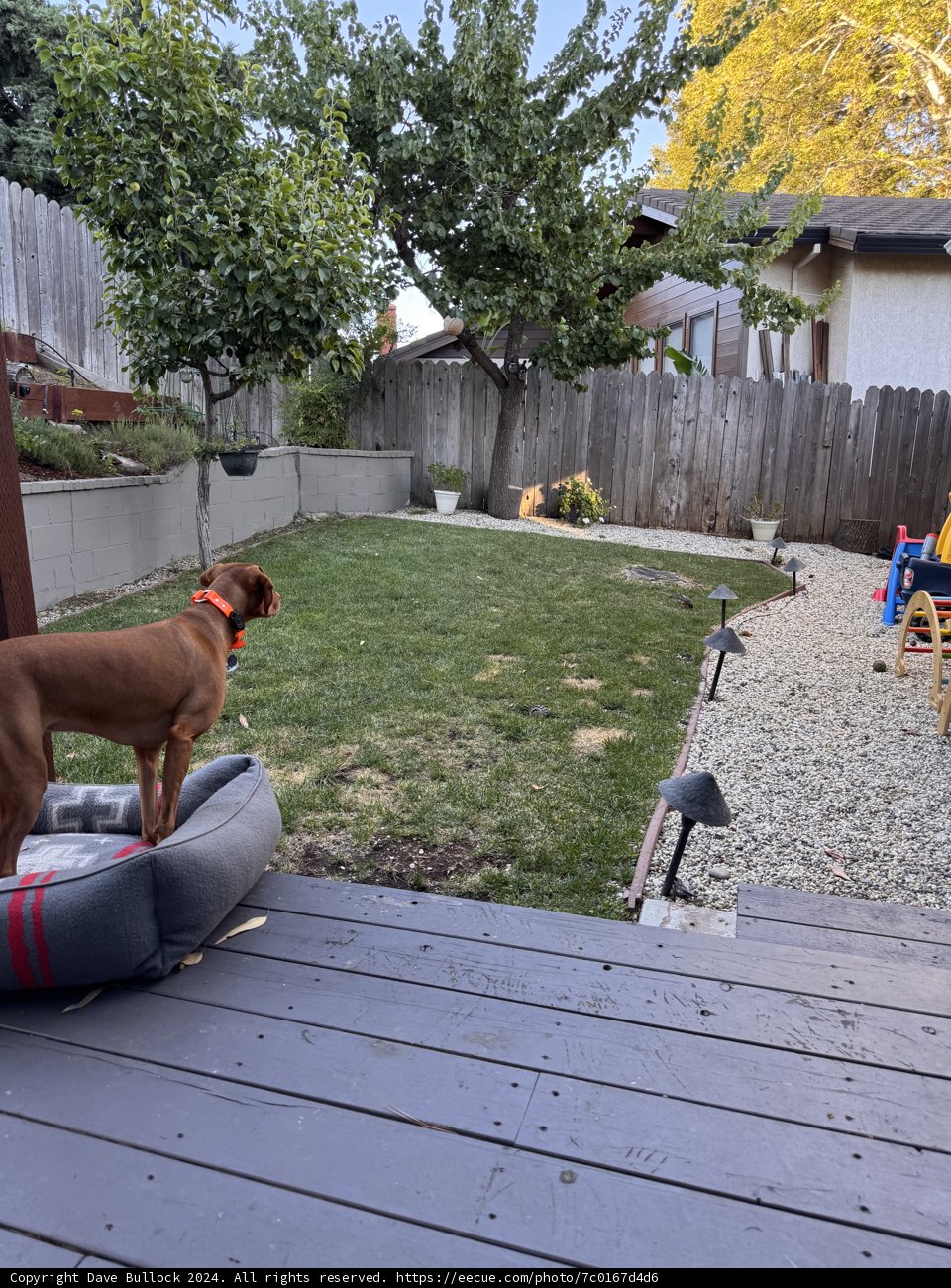 Zuni's Backyard Haven