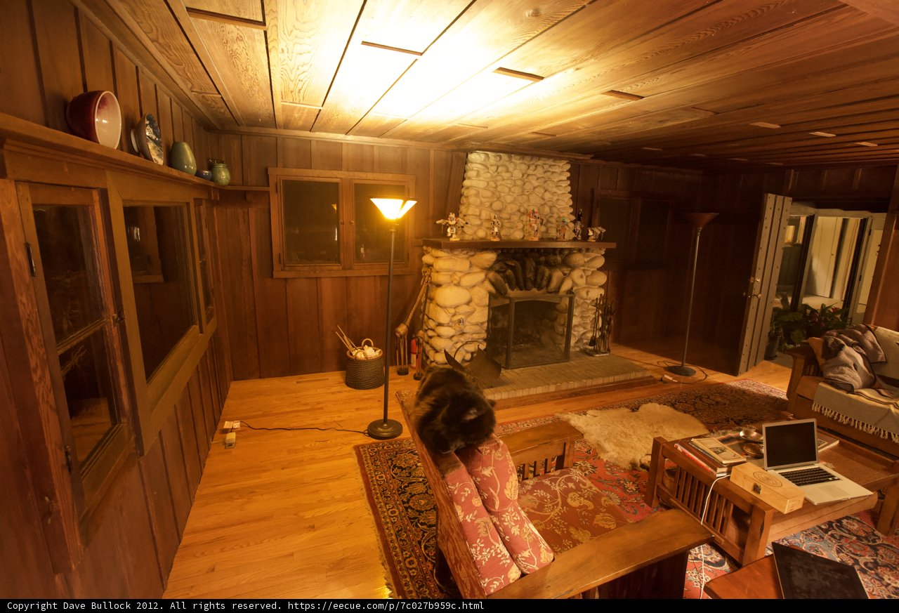 Cozy Living Room with Pet Dog and Fireplace