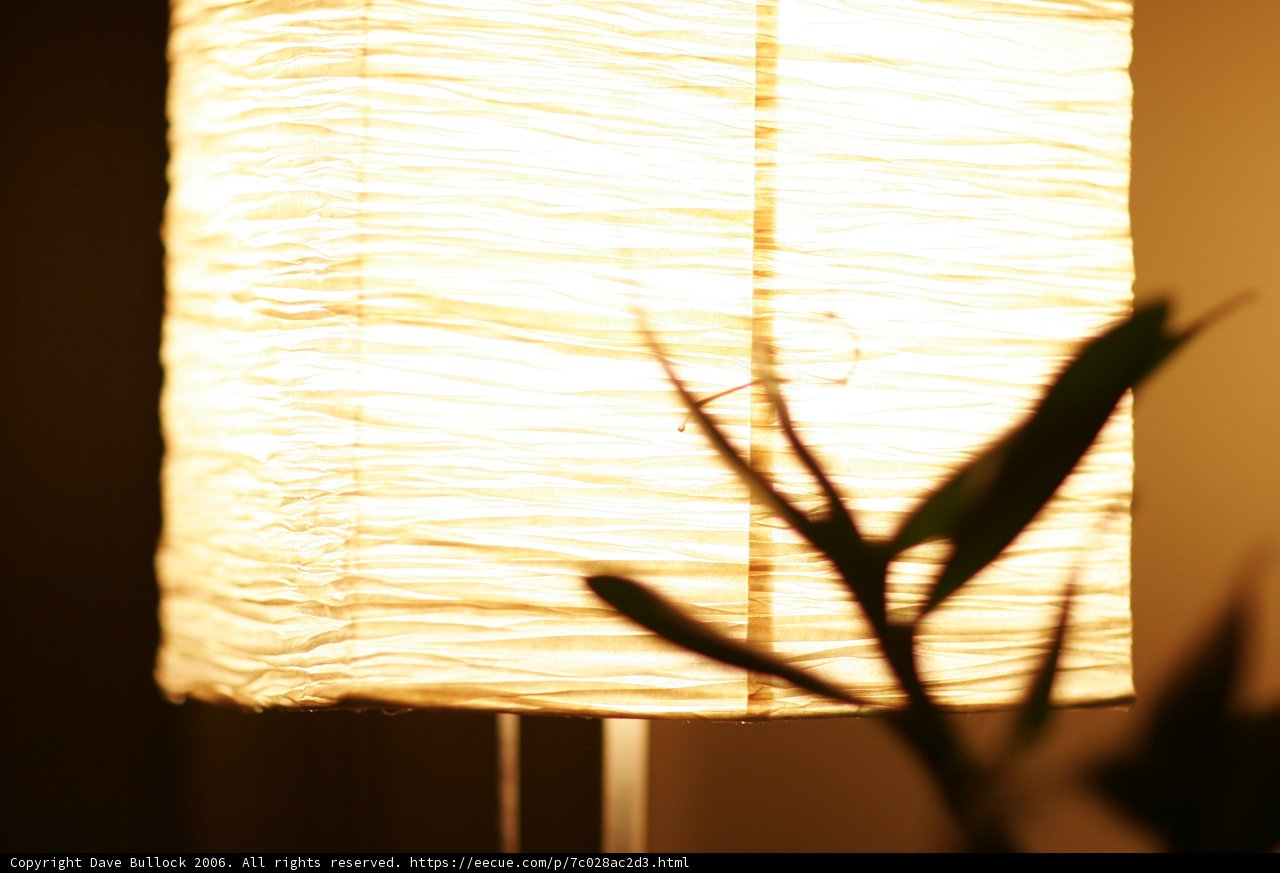 Illuminating Elegance