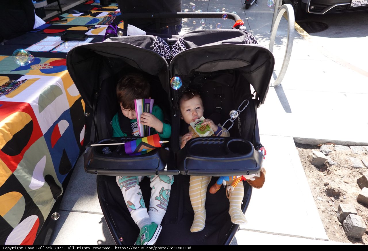 Double Stroller Adventures