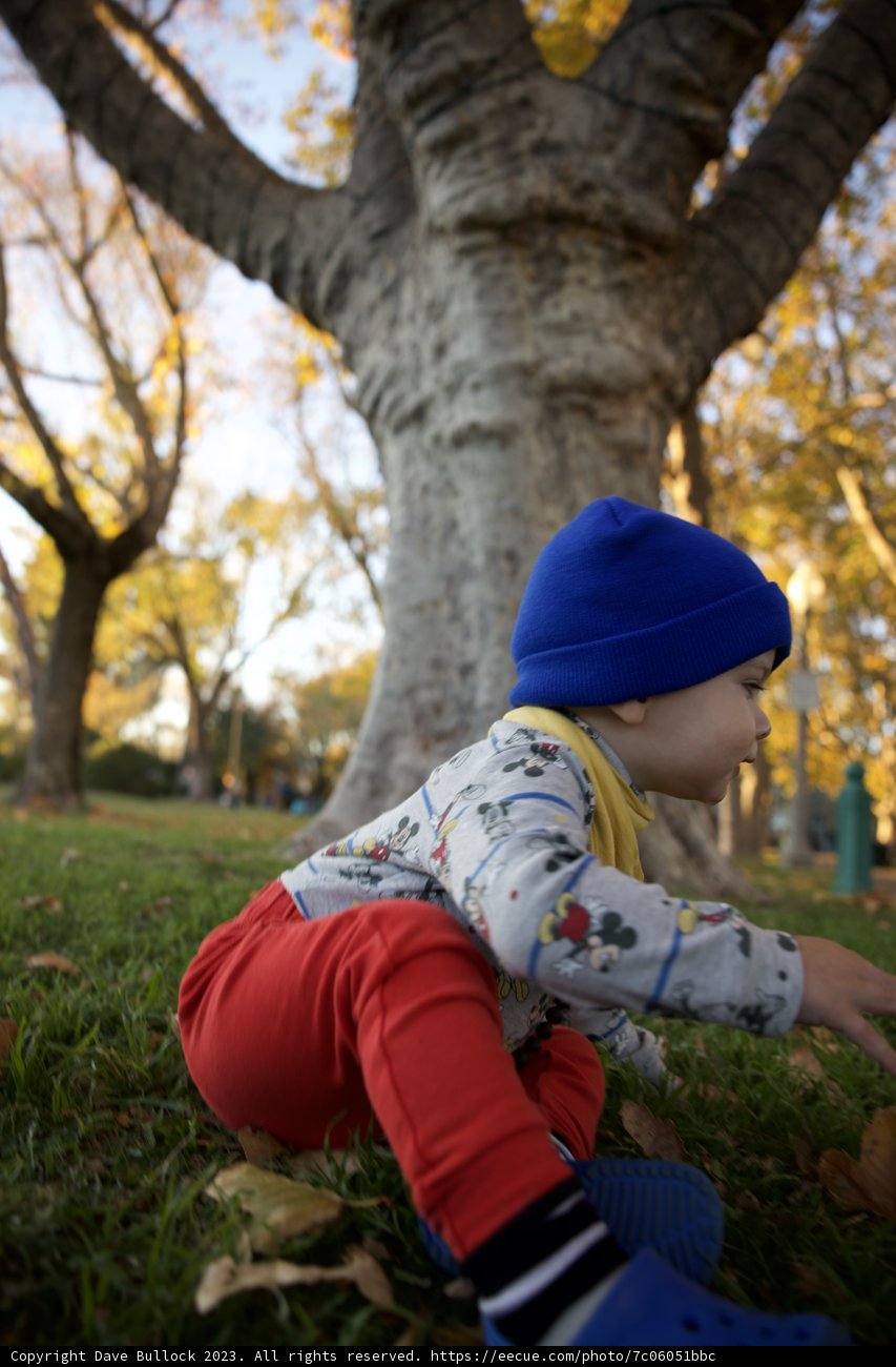 Exploring Nature in Downtown Sonoma, 2023