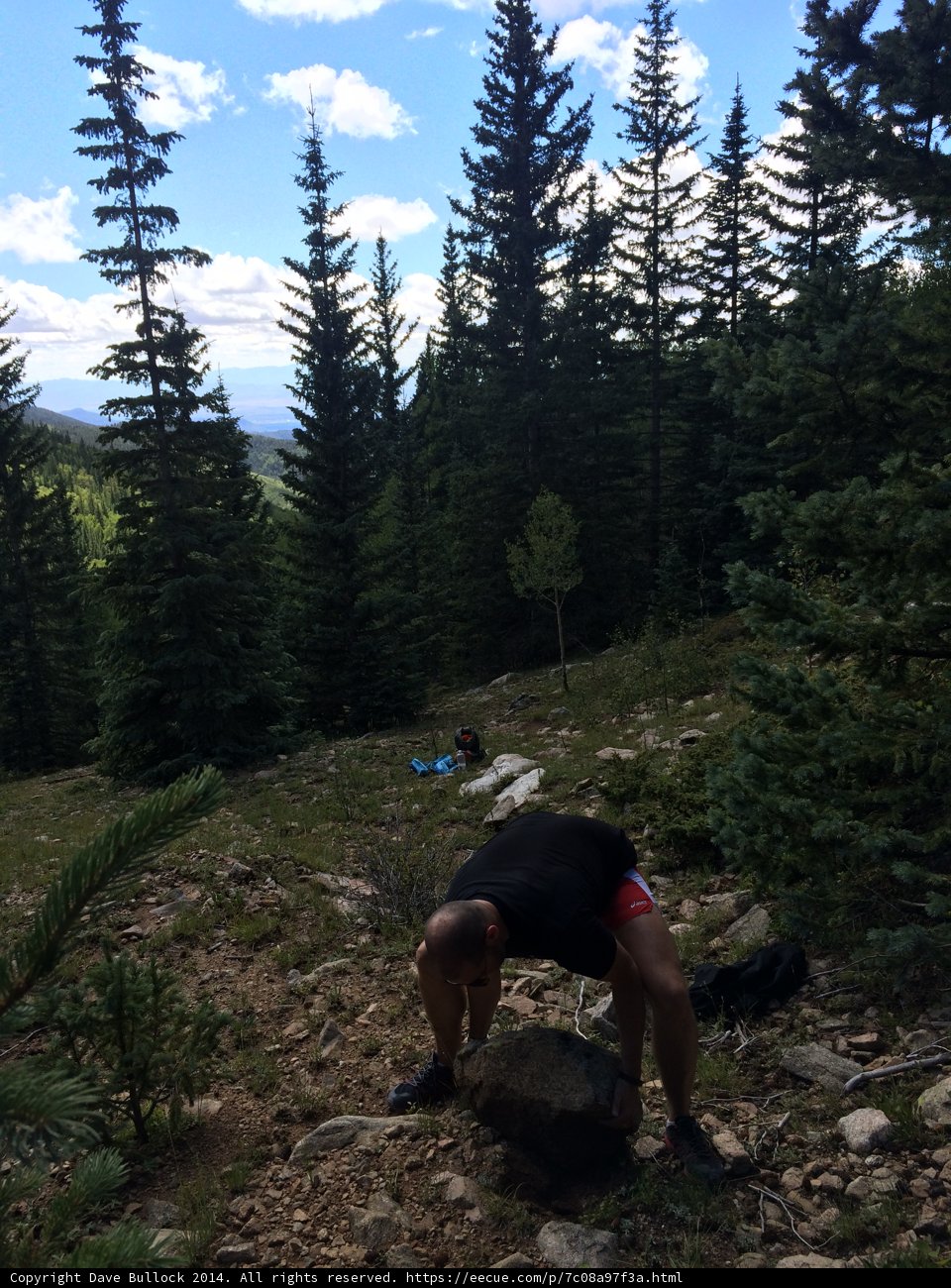 Man hikes through the lush New Mexico wilderness
