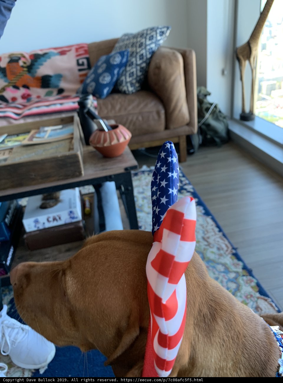 Patriotic Pup