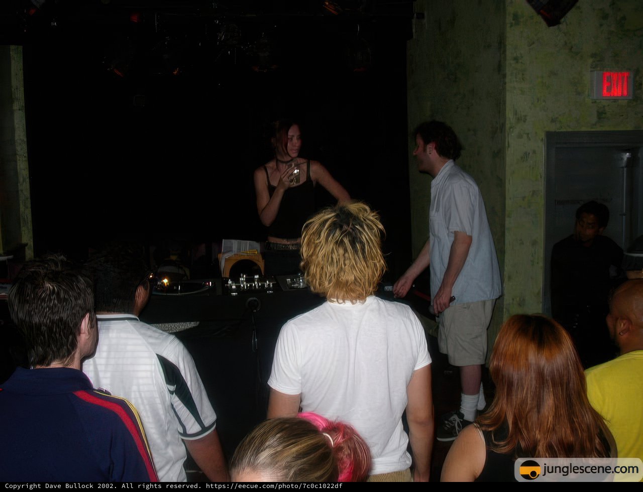 Nightclub Scene with DJ and a Crowd