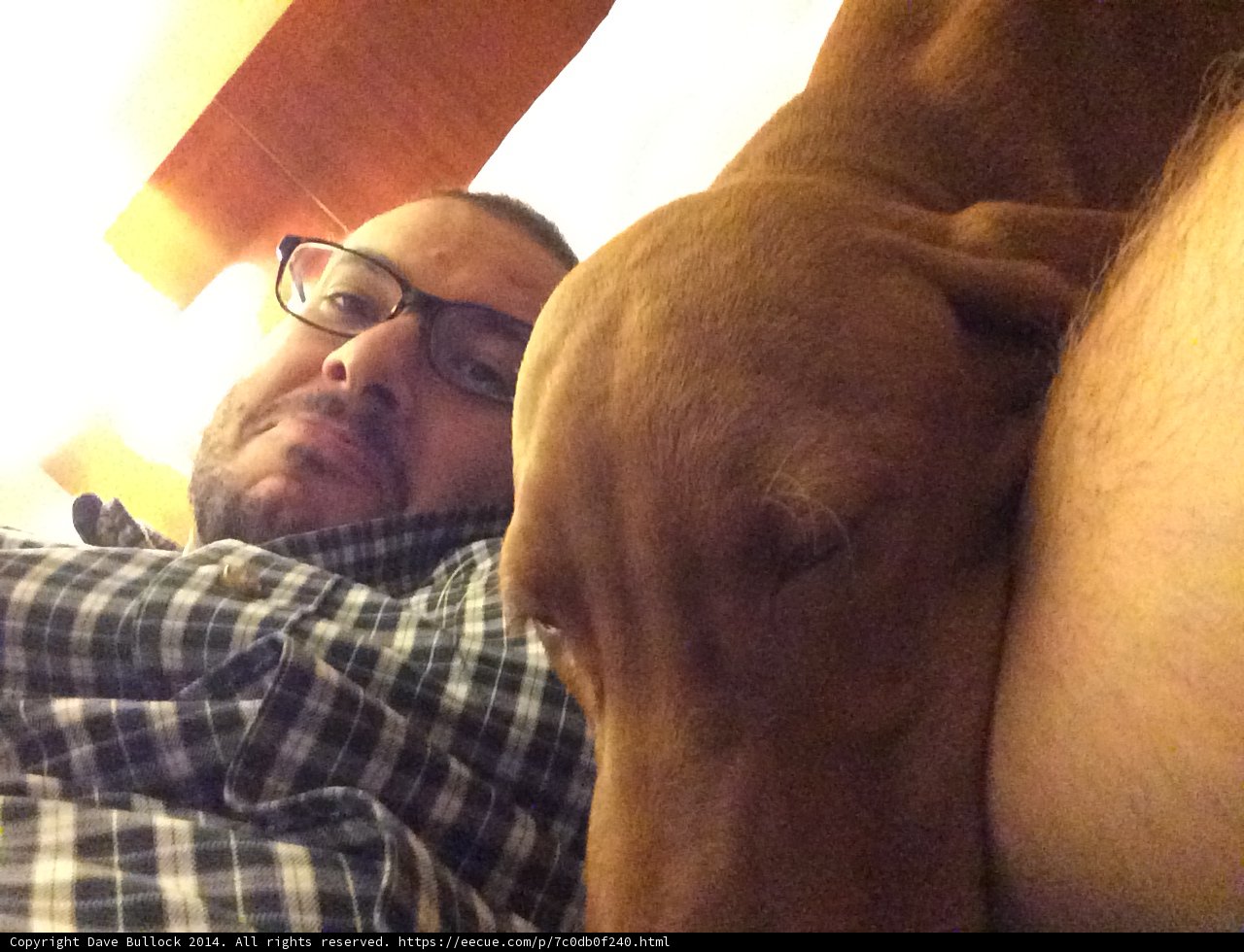 Cozy Nap with My Furry Friend
