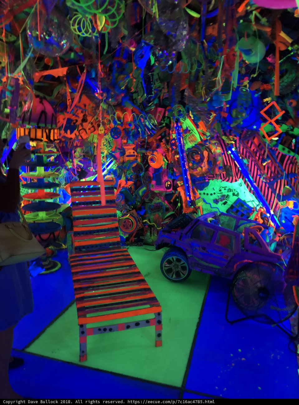 Neon Wonderland
