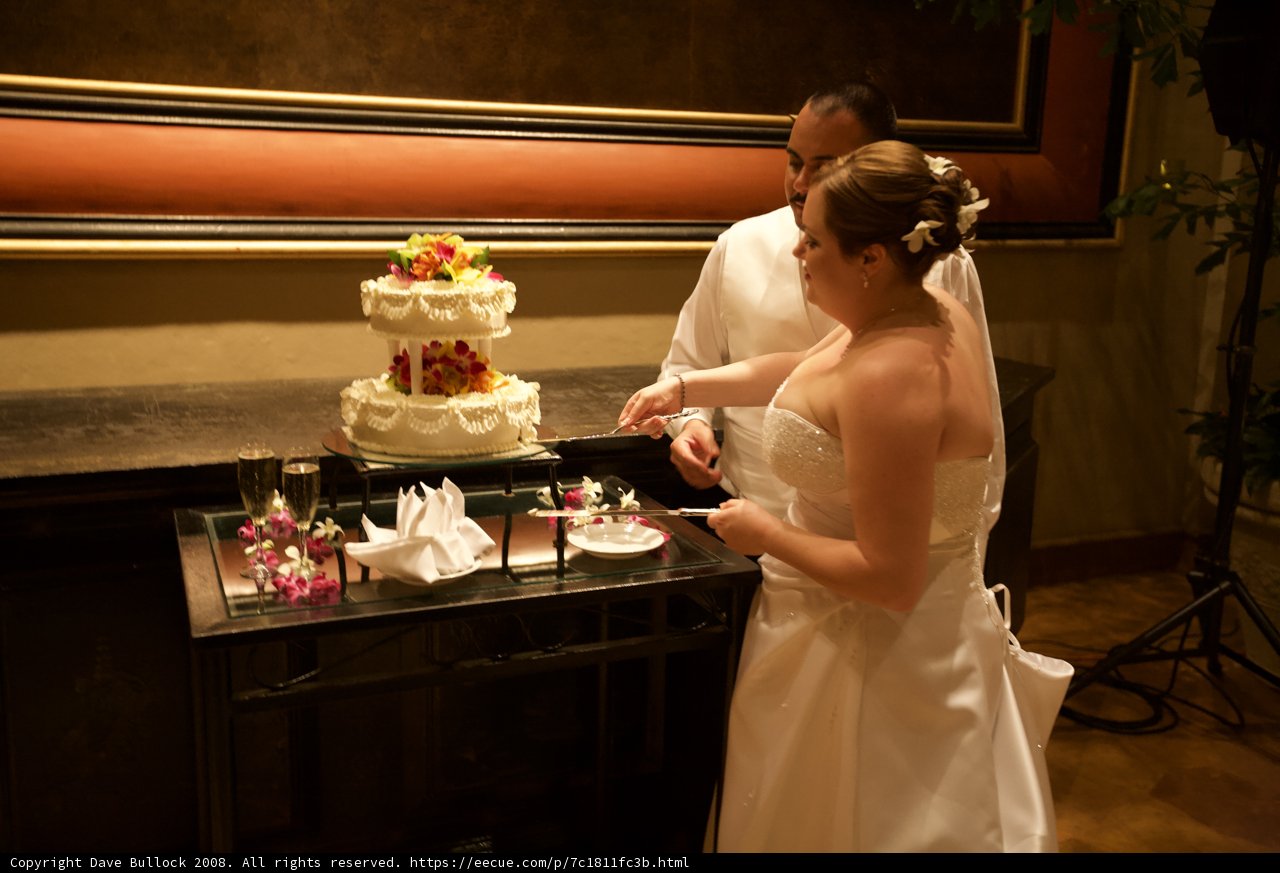 Wedding Cake Cutting