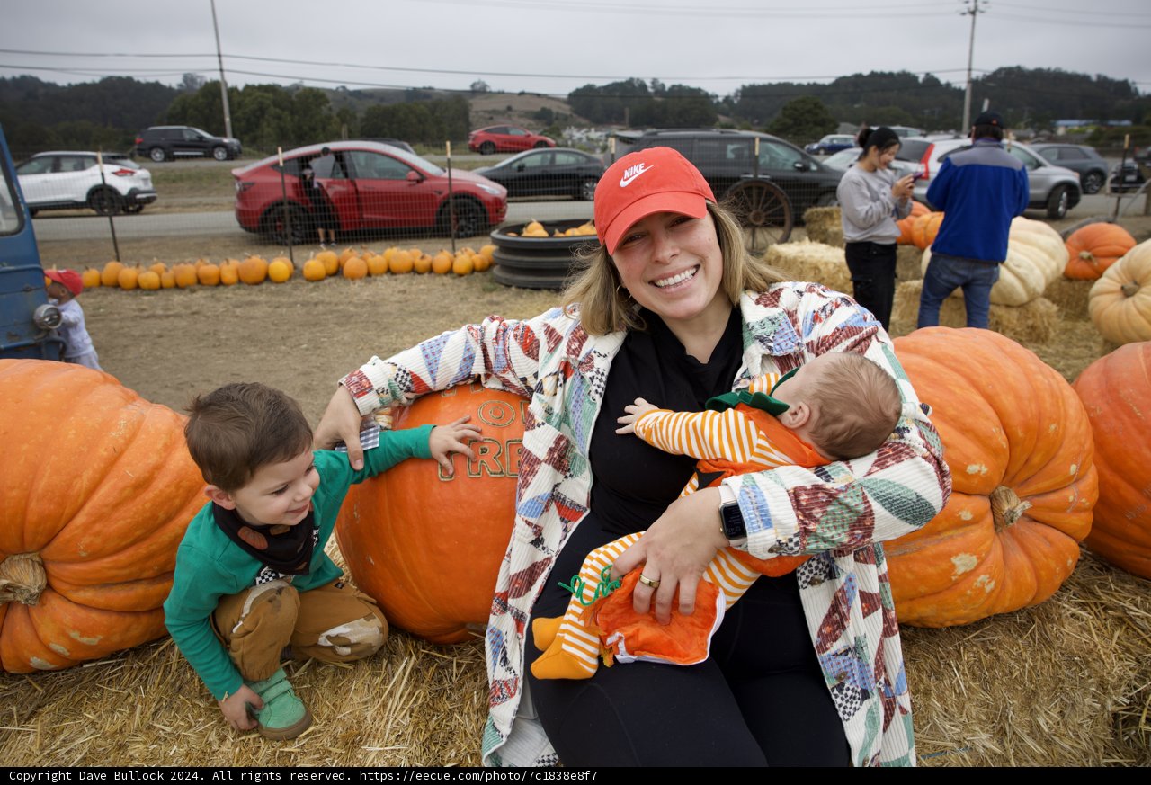 Pumpkin Patch Memories