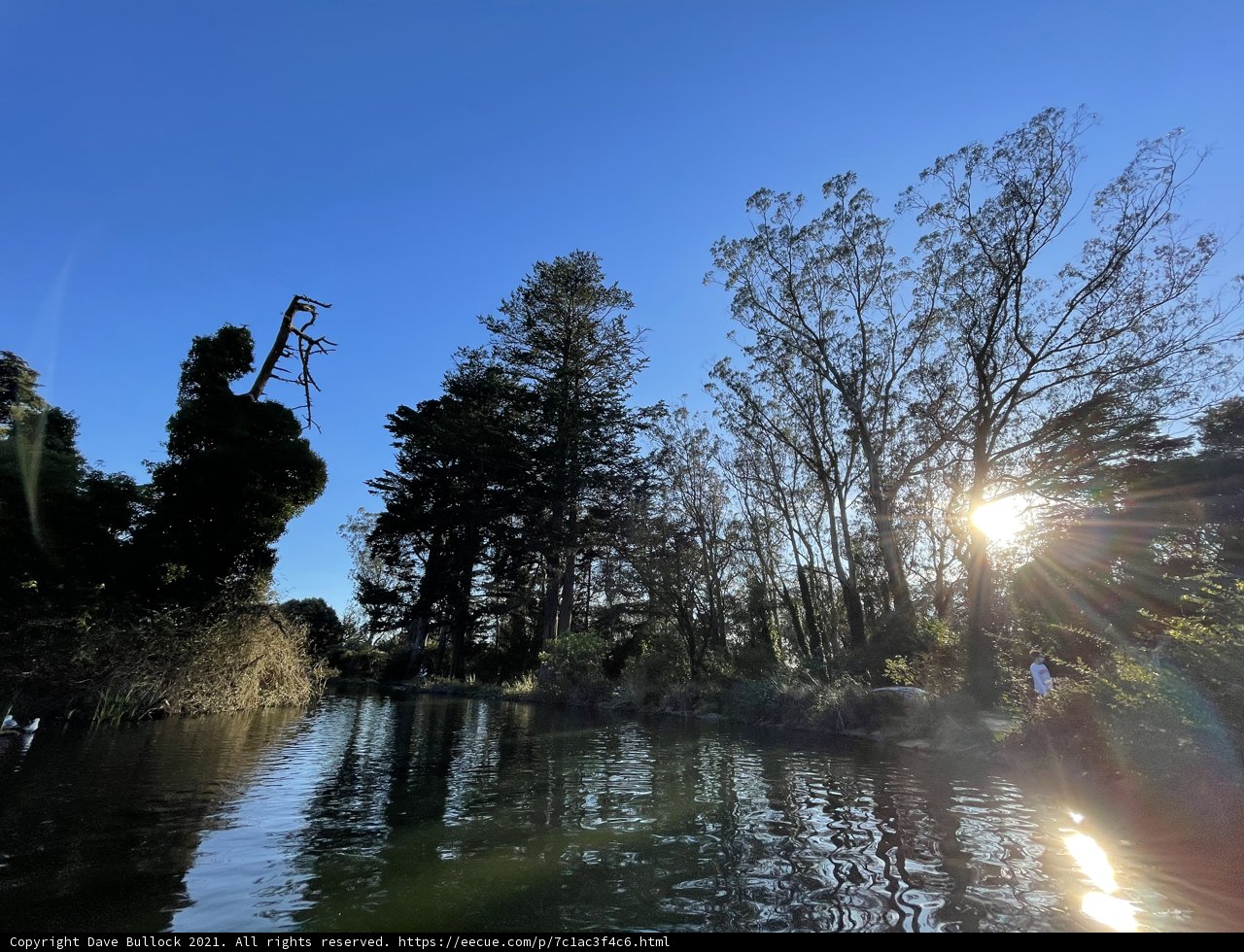 Sun-kissed Stow Lake
