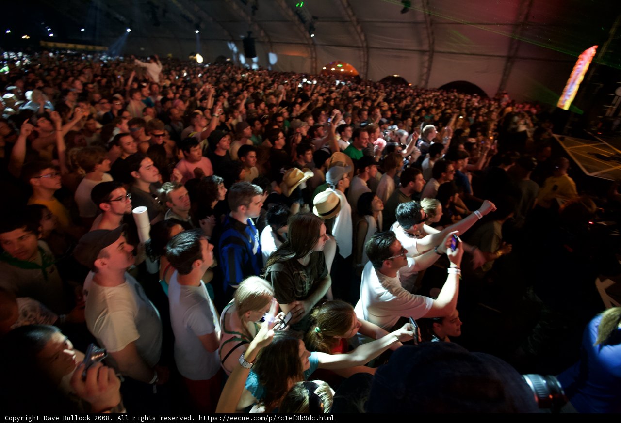 Crowd Goes Wild: A Snapshot from Coachella '08