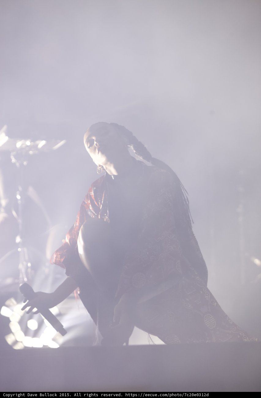FKA twigs Silhouette Profile Looking Down Heavy Haze Braided Hair Red Gold Kimono Contemplative