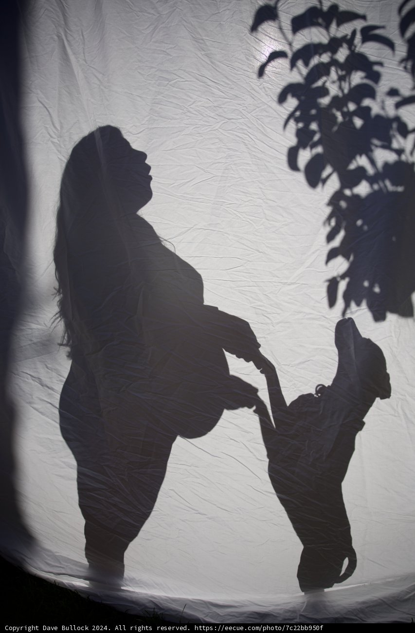 Shadows of Beginnings