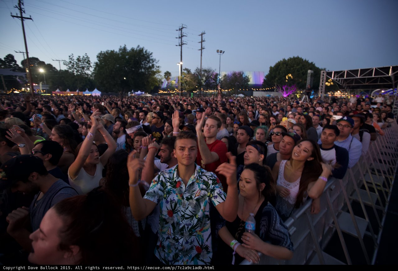 Hawaiian Shirt Fan Clapping