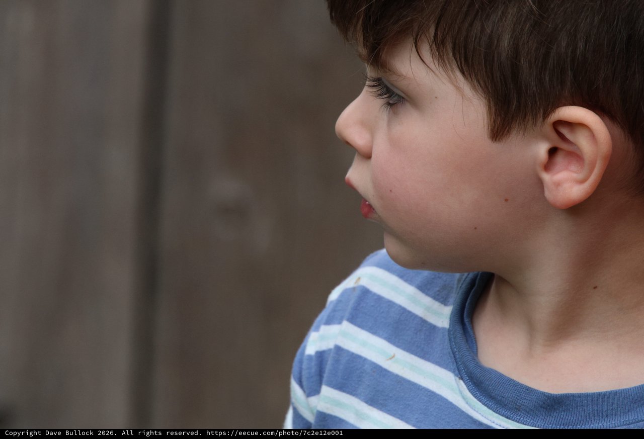 Young Boy in Profile with Contemplative Gaze