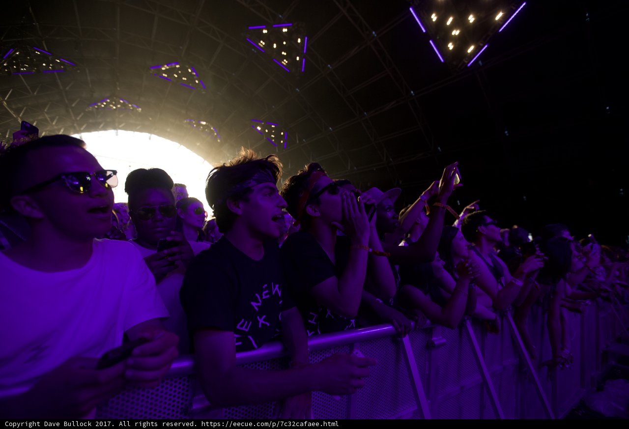 Purple Haze Concert