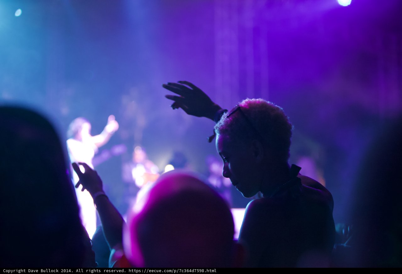 Letting Loose: A Concertgoer at Coachella 2014