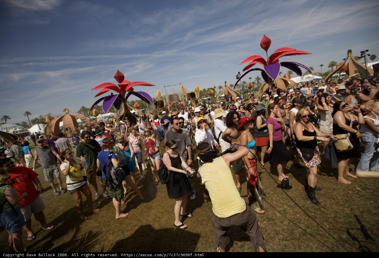 Vibrant Umbrellas at Coachella Festival