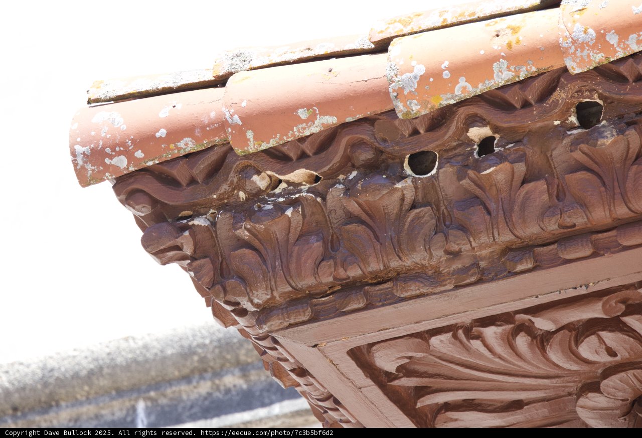 Architectural Elegance in Detail