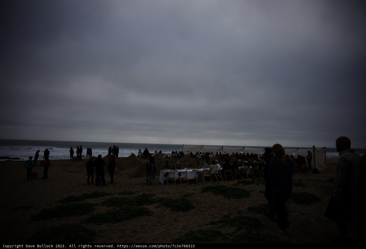 Coastal Unions - A Pescadero Beach Wedding