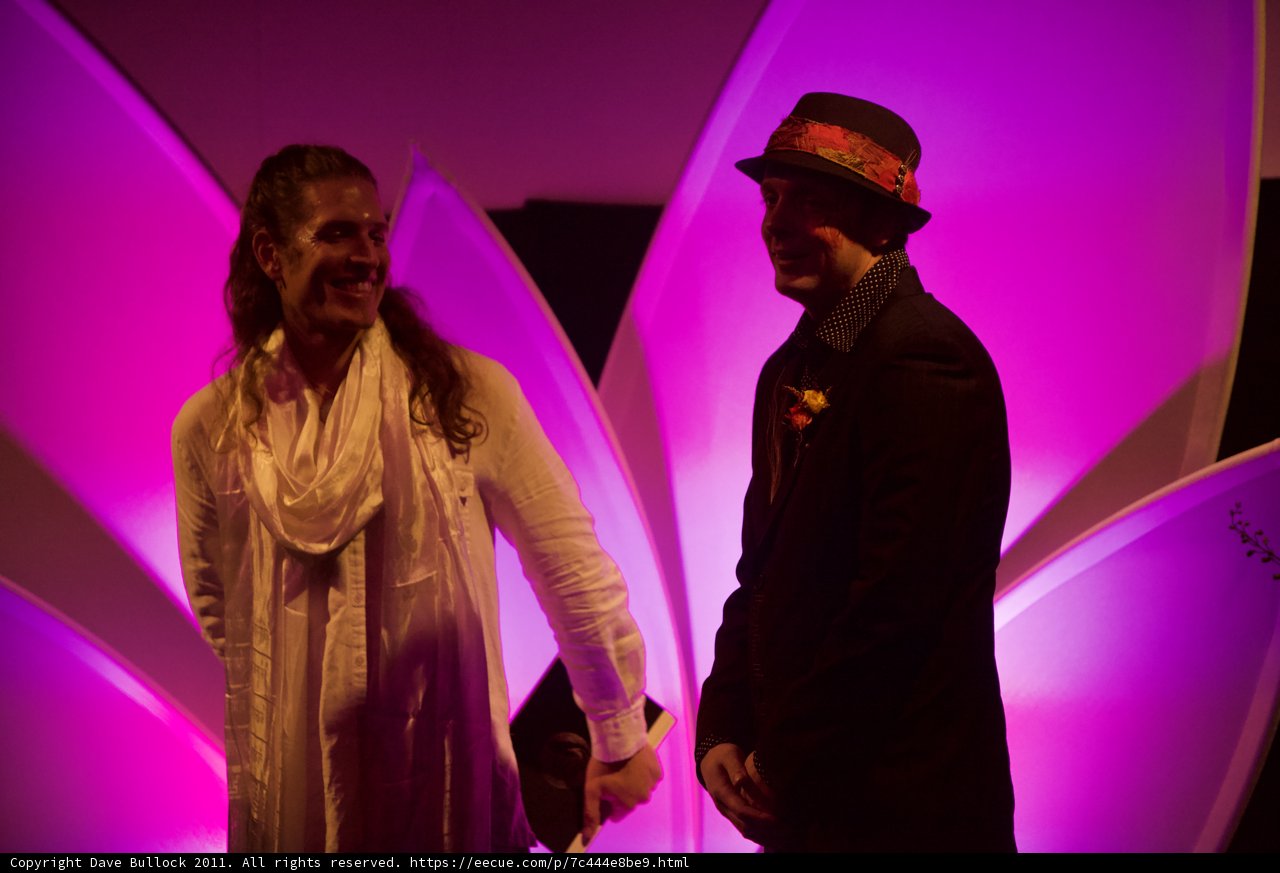 Purple Light Lovebirds