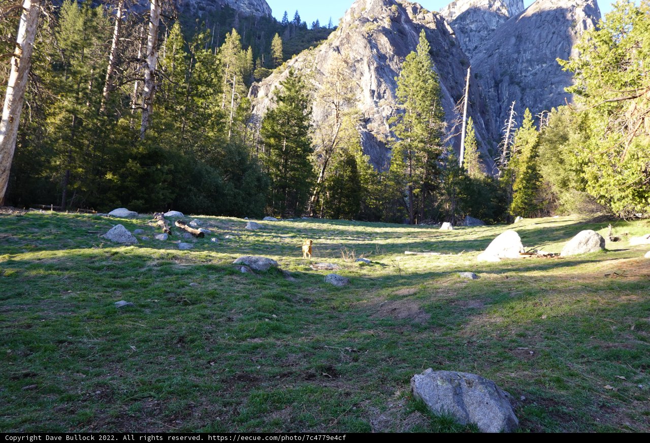 Majestic Mountain and Lush Field