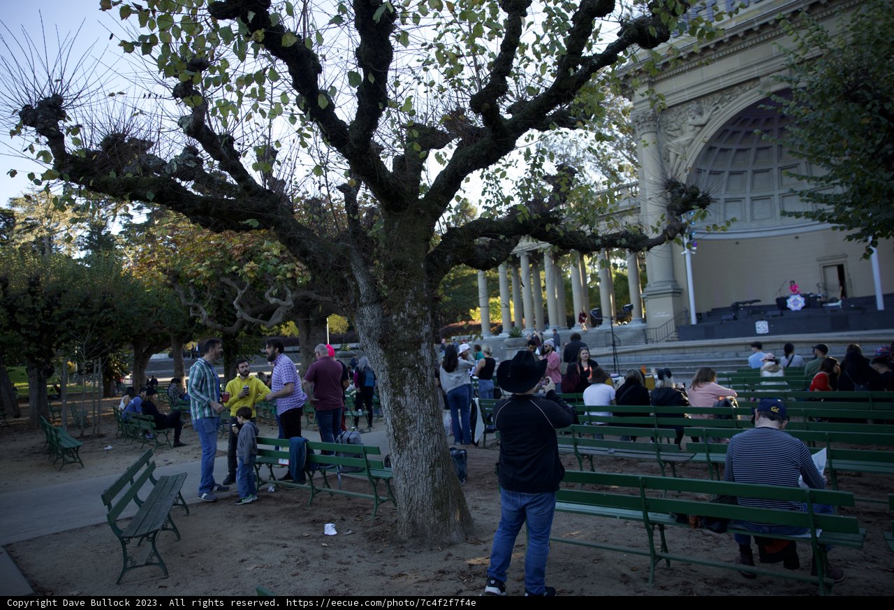Autumnal Park Gathering: A Tapestry of Life