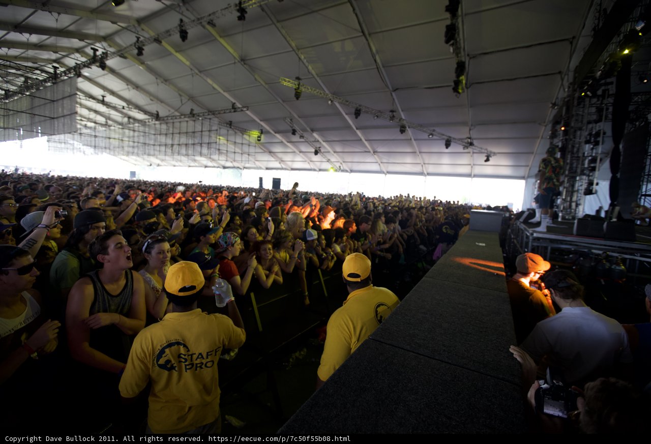 Yellow Shirt Fever