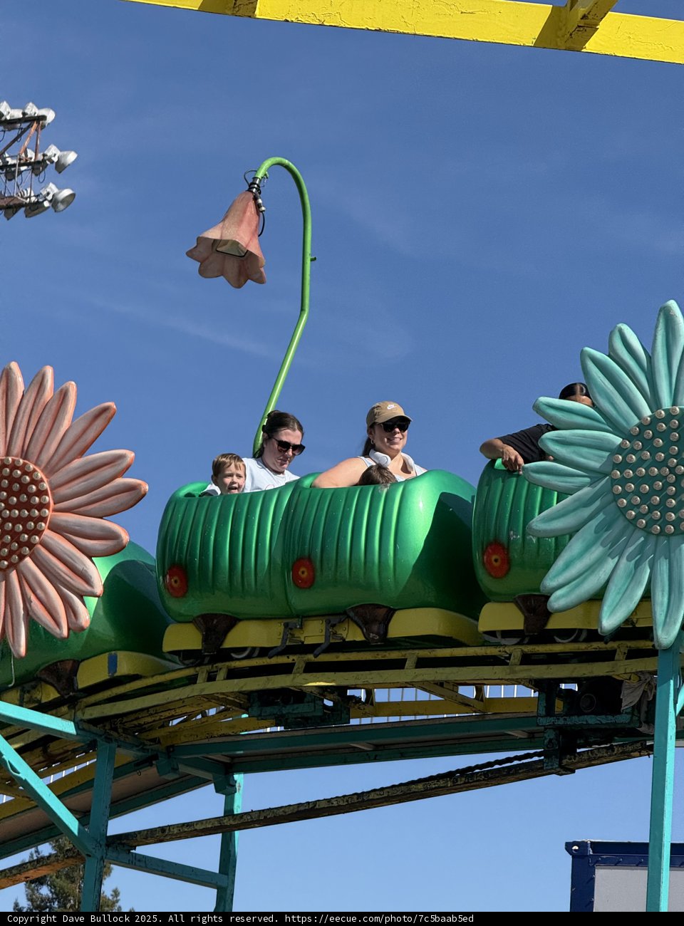 Thrills in Bloom: Roller Coaster Fun