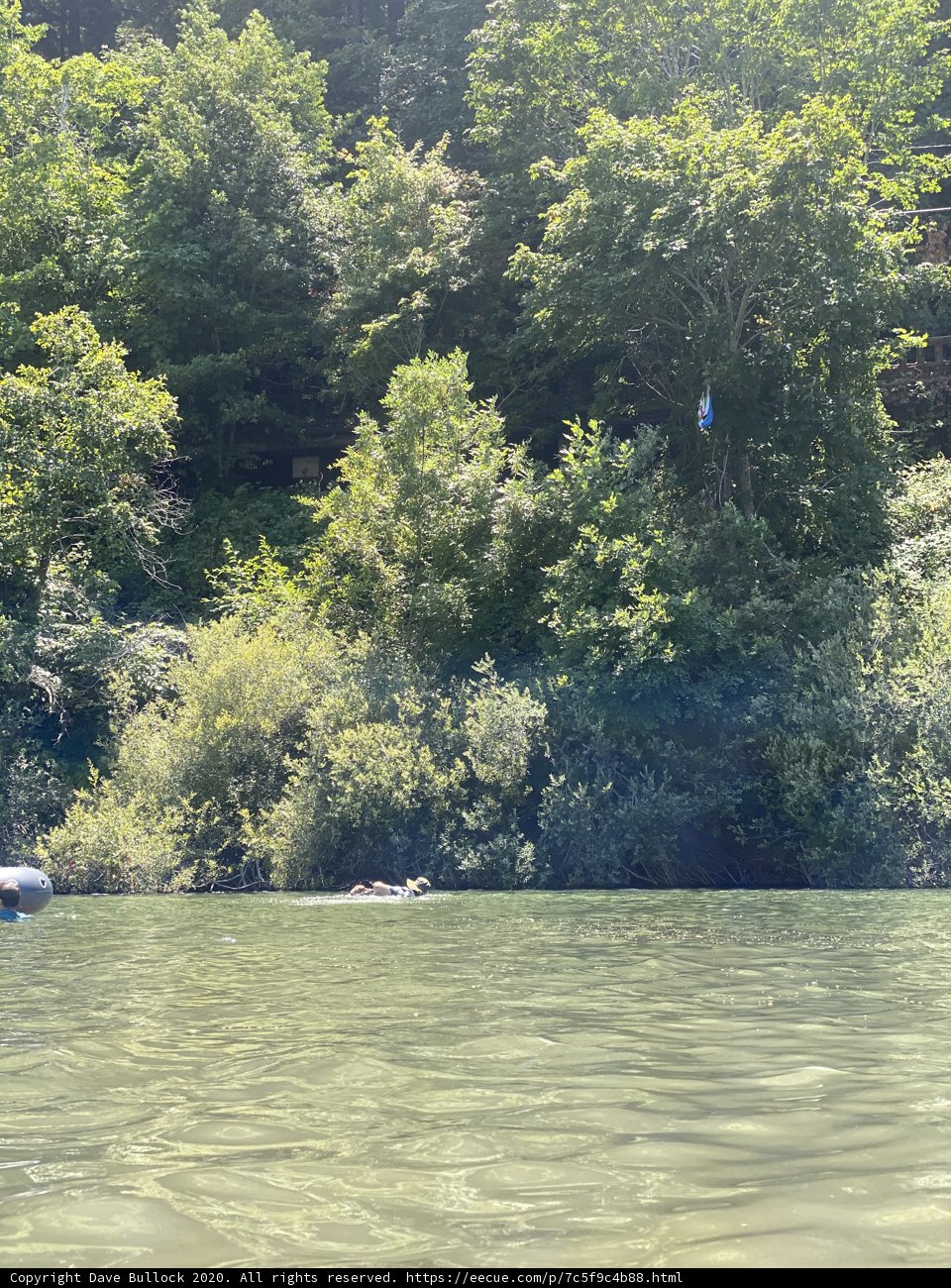 Floating on the Russian River