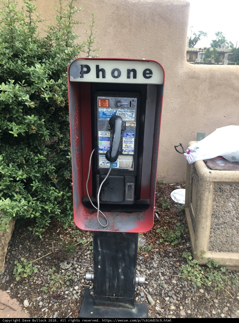 A Blast from the Past in the Garden