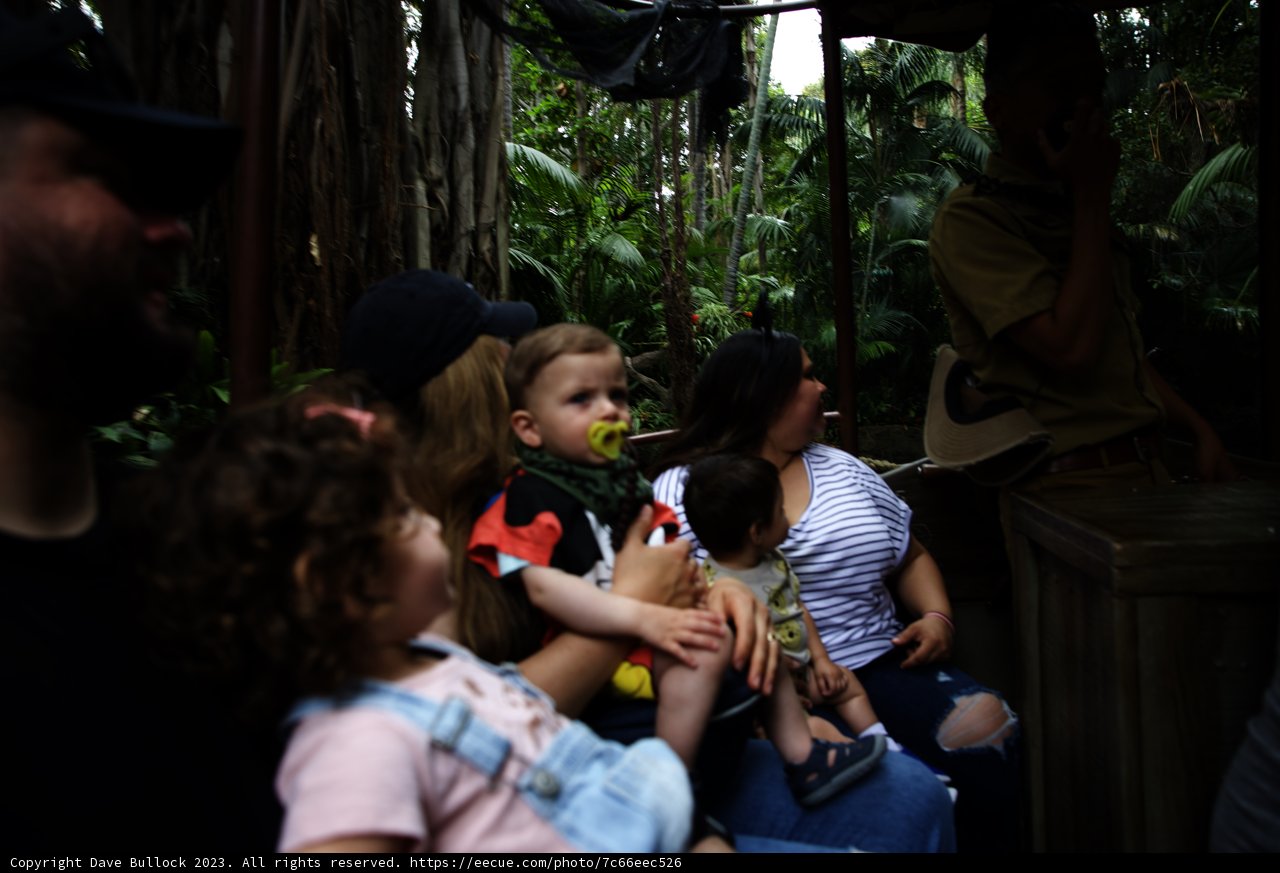 Jungle Train Adventure with Family