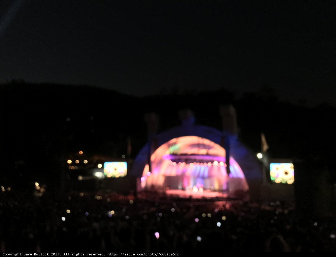 Electrifying Night Concert