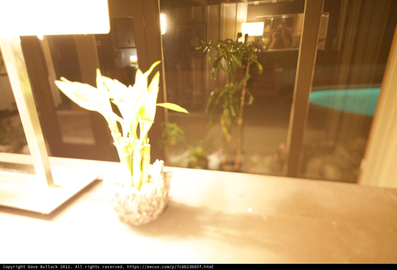 Ikebana-inspired Flower Arrangement on Wooden Table