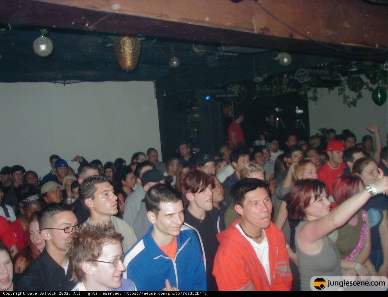 Nightclub Party with a Microphone