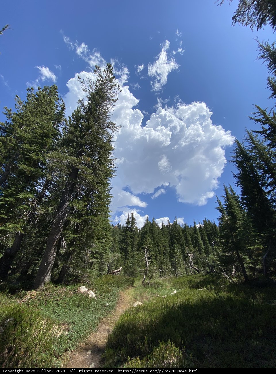Into the Clouds