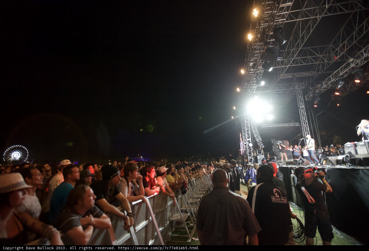Electrifying Crowd at Coachella Concert