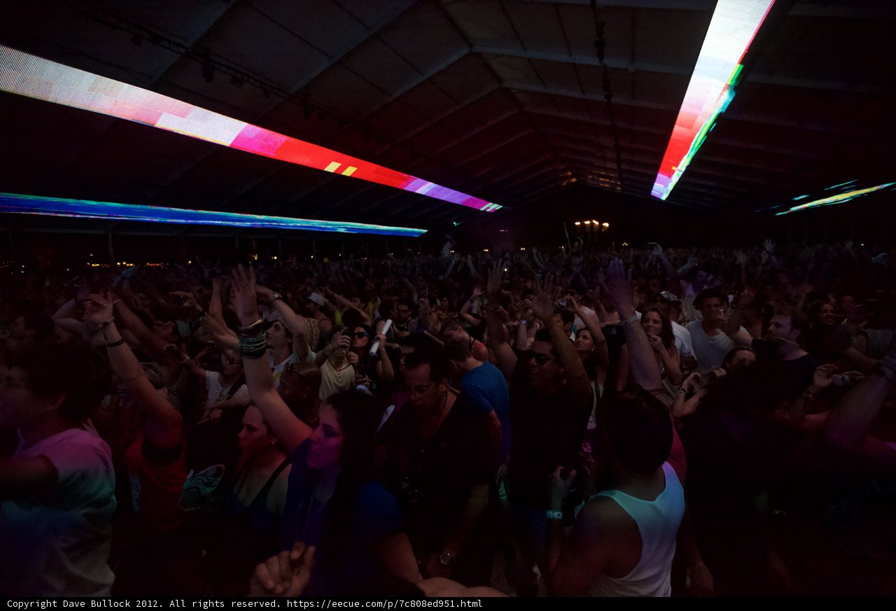 Coachella 2012 Concert Crowd Goes Wild
