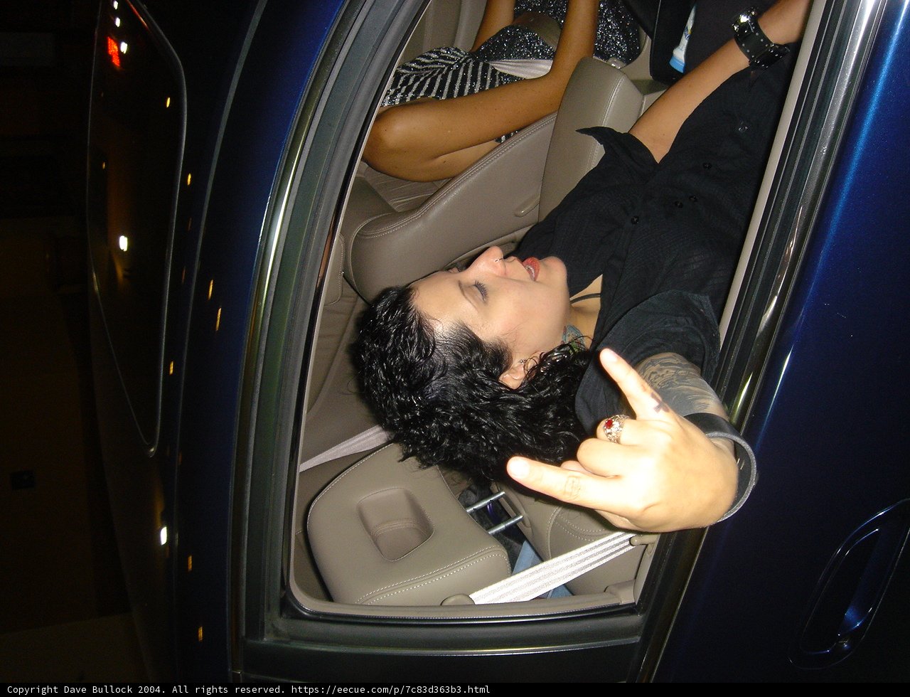 Backseat Bliss
