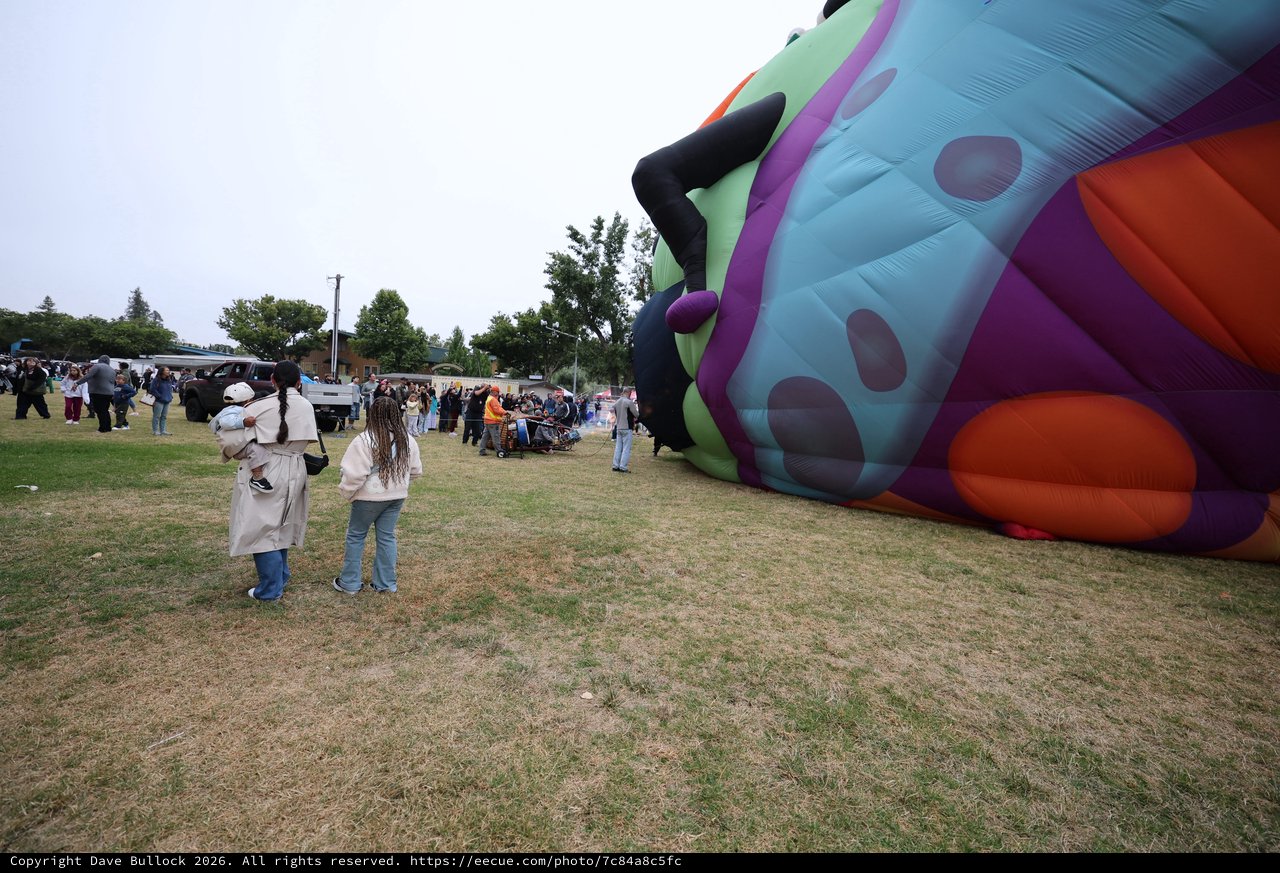 Giant Balloon Inflates at Sonoma County Festival