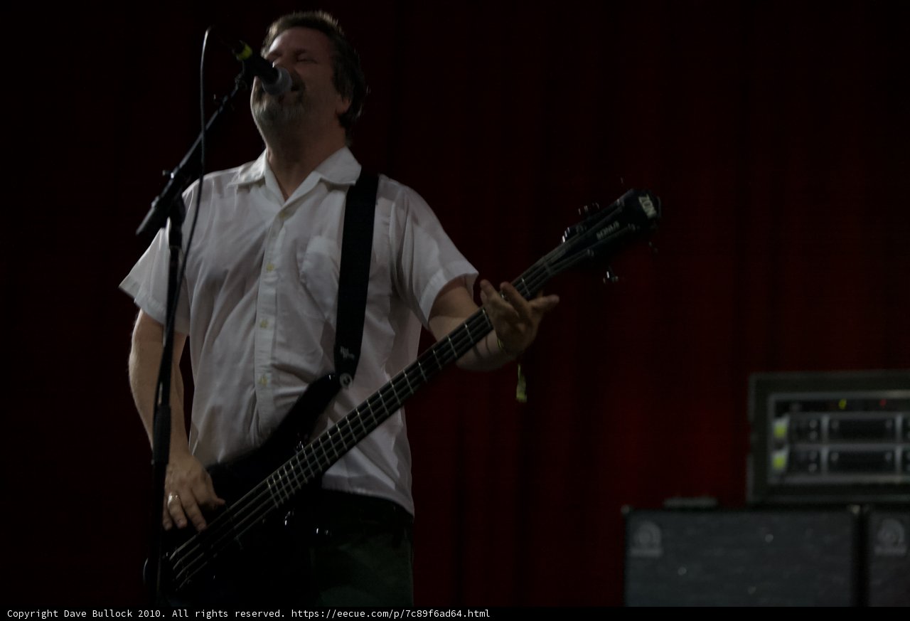 Bassist in Action