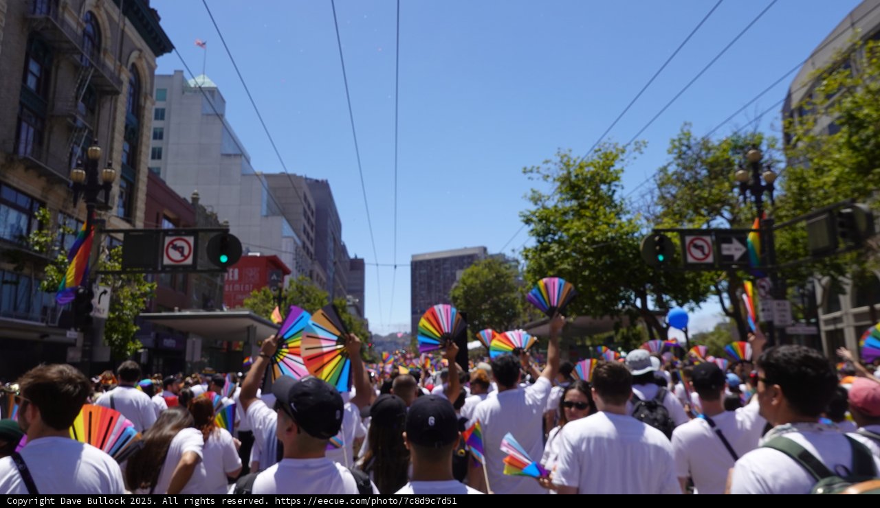 Unity in Colors