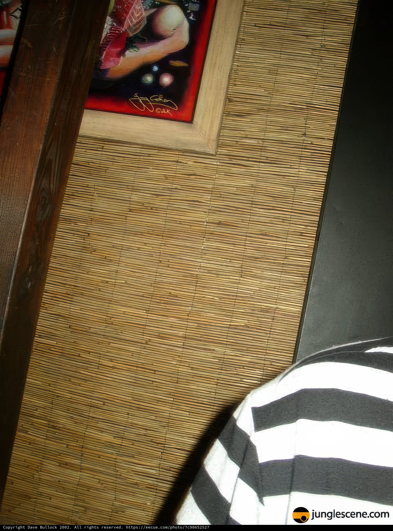 Stripes in Wood