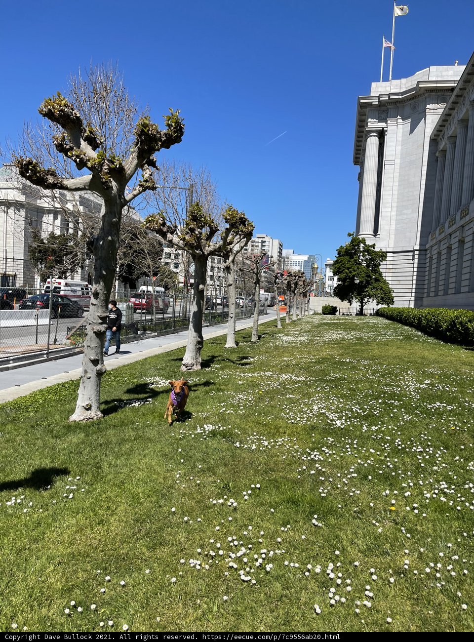 Serenity in the City