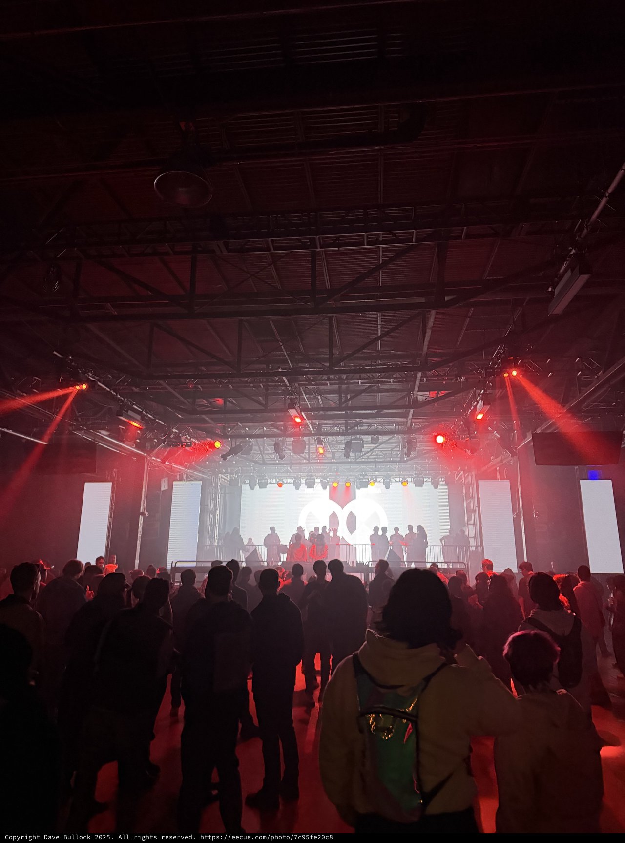 Red-Lit Electronic Music Performance with Crowd