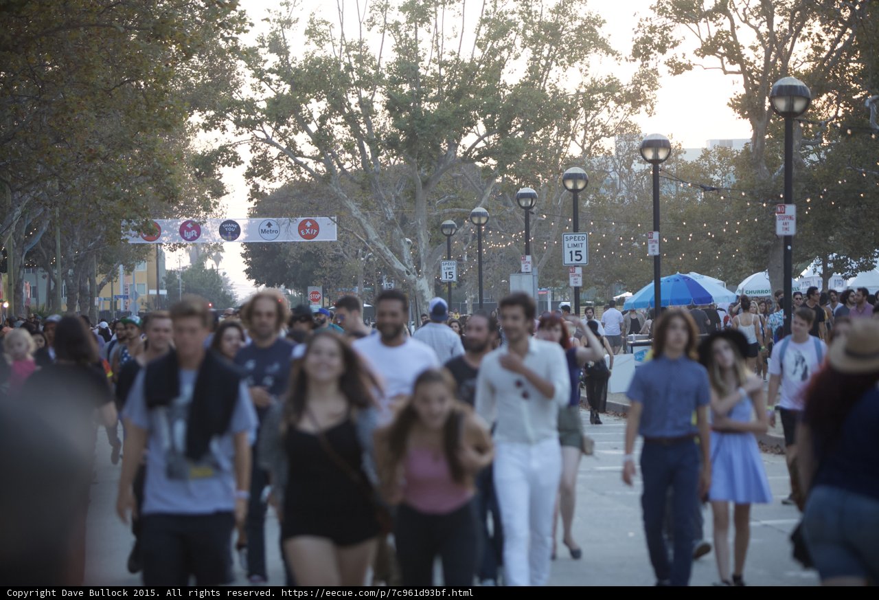 Festival Crowd Flow