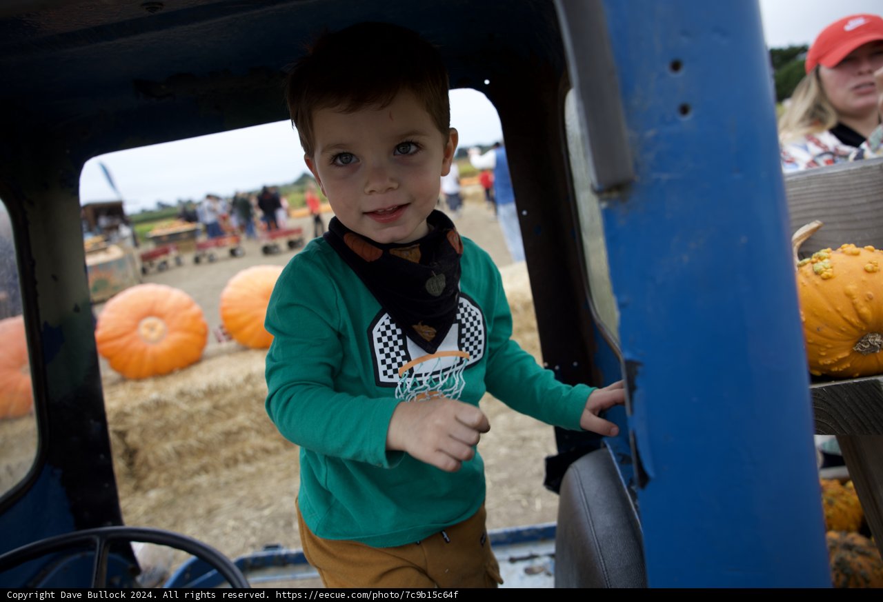 Pumpkin Patch Adventures